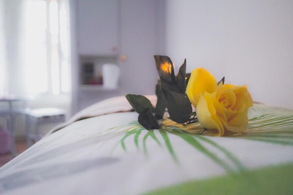 Dreierzimmer دارليغن المظهر الخارجي الصورة